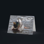 Funny tarjeta de cumpleaños Mallard Duck<br><div class="desc">¡Este bello Mallard Drake te está enviando grandes "smooches" a tu camino para tu cumpleaños!</div>