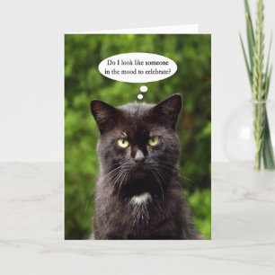 Funny tarjeta de cumpleaños Moody Black Cat