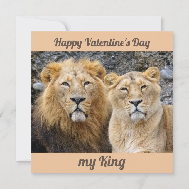 Funny tarjeta de San Valentín de pareja de leones (Anverso)