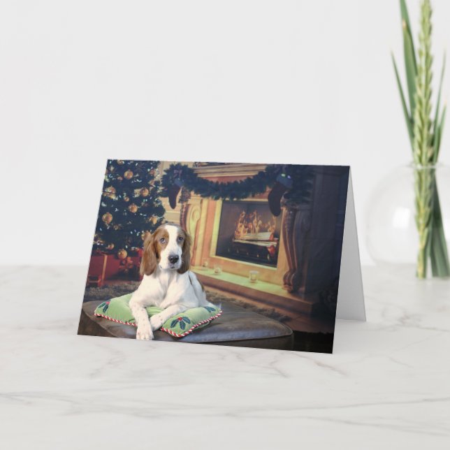 Funny tarjeta irlandesa de vacaciones Red and Whit (Anverso)