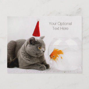 Funny tarjeta postal de Navidades de texto para pe