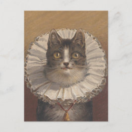 Funny tarjeta postal para gato eduardiano vintage