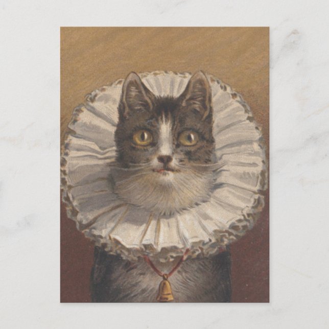 Funny tarjeta postal para gato eduardiano vintage (Anverso)