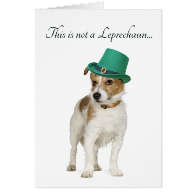 Funny Terrier Leprechaun Card (Frente)