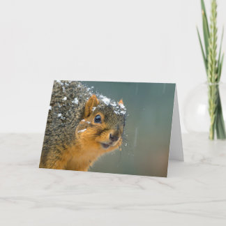 Funny Wildlife Navidad Card