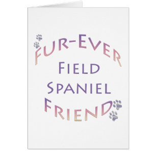 Furever de Field Spaniel