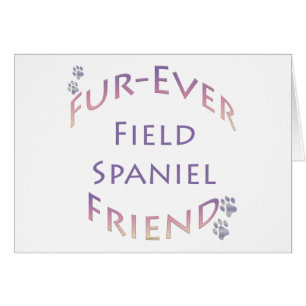 Furever de Field Spaniel