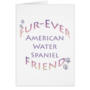 Furever español de agua estadounidense