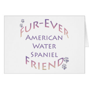 Furever español de agua estadounidense