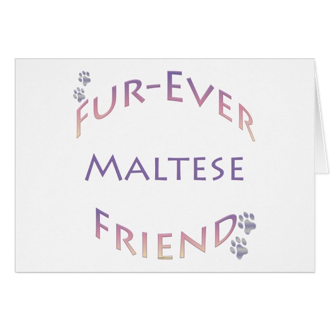 Furever maltés (Anverso (Horizontal))