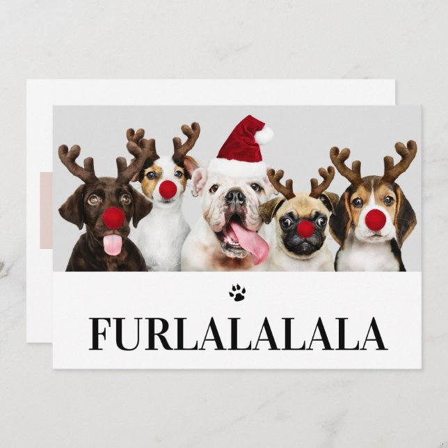 Furlalala Navidades de perro 5 tarjeta de foto (Anverso / Reverso)