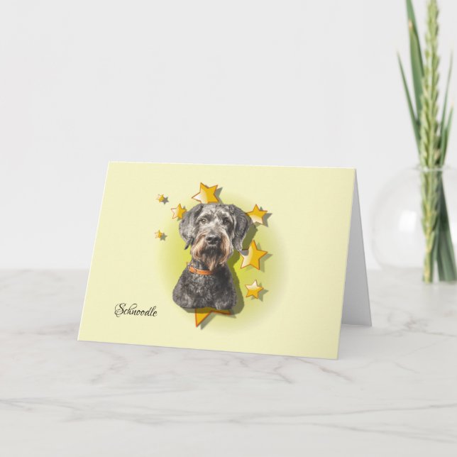 Furry Gray Schnoodle es una tarjeta de estrella (Anverso)