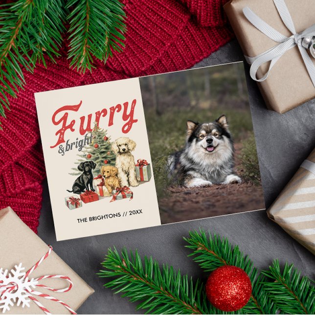 FURRY Y BRILLANTE MERRY NAVIDAD MASCOTA DE PERRO (furry and bright pet themed holiday photo postcard with custom message and return address)