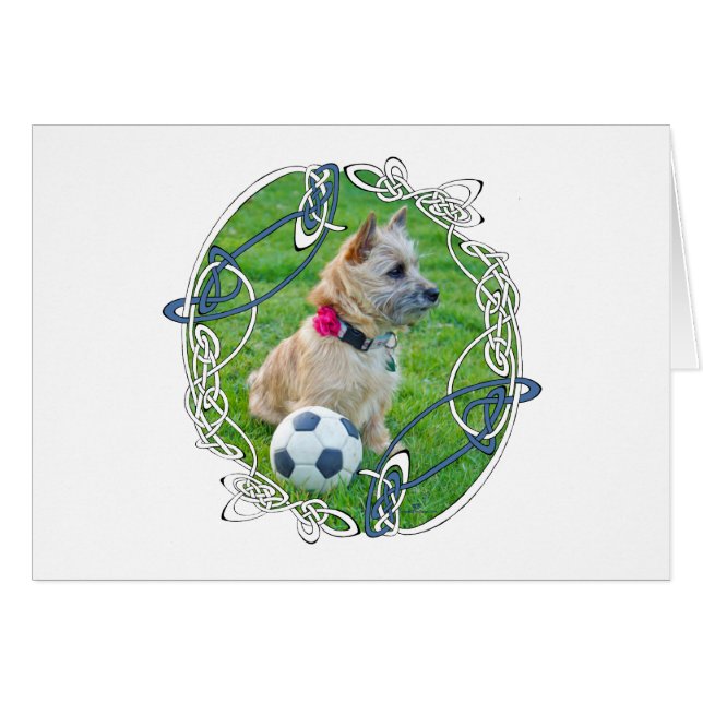 Fútbol de Terrier Cairn (Anverso (Horizontal))
