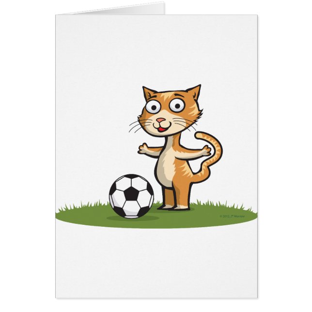 Fútbol del gato (Frente)