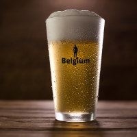 Fútbol en Bélgica