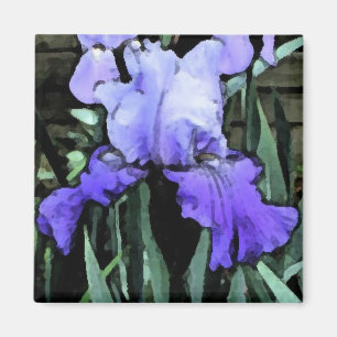 FX- imán azul del iris