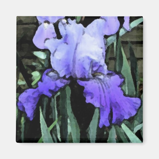 FX- Imán Iris Azul (Frente)