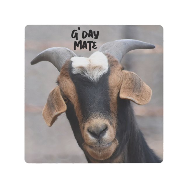 G-day mate cabra sonriente impresión metalizado (Anverso)