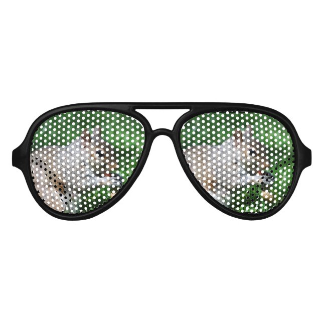 Gafas De Fiesta De Aviador Ardilla con nuez (Anverso)