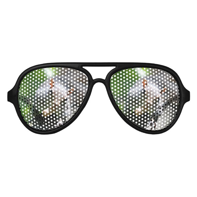 Gafas De Fiesta De Aviador Chubby Squirrel (Anverso)