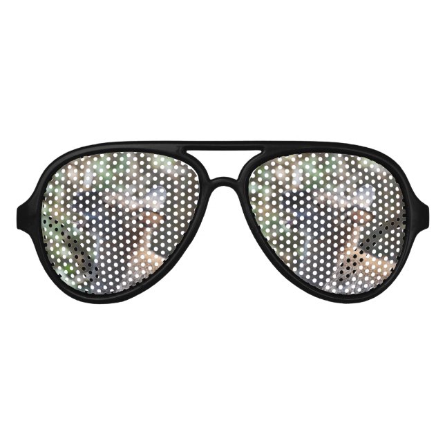 Gafas De Fiesta De Aviador Cute Wallaby (Anverso)