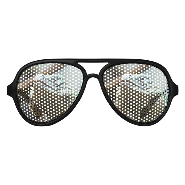 Gafas De Fiesta De Aviador Iguana Gran Caimán (Anverso)