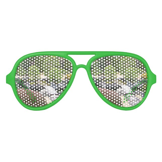 Gafas De Fiesta De Aviador Jardín japonés 日 本 庭 園 (Anverso)