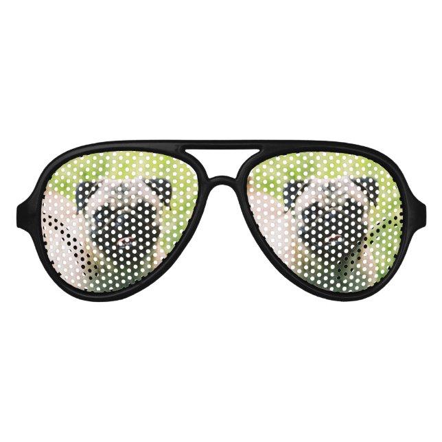 Gafas De Fiesta De Aviador pug-13 (Anverso)