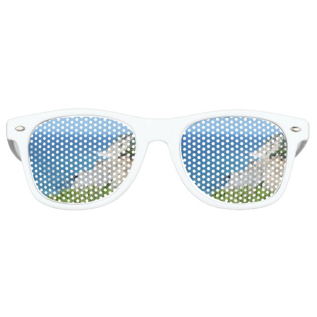 Gafas De Fiesta Retro Block Island Bluffs - Isla Block, Isla Rhode (Anverso)