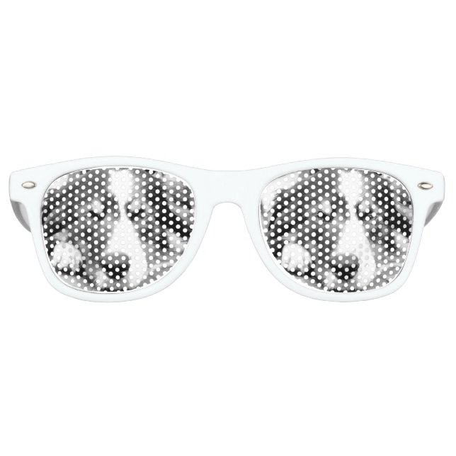 GAFAS DE FIESTA RETRO BORDER COLLIE (Anverso)