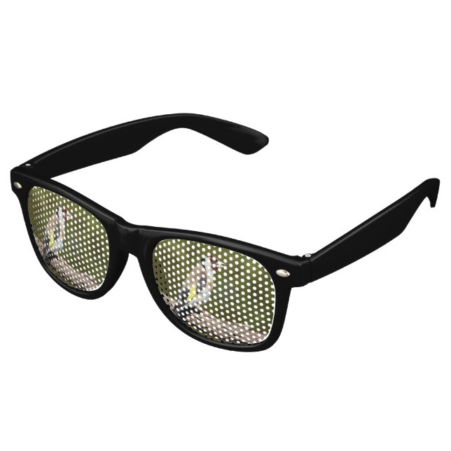 Gafas De Fiesta Retro Carduelis carduelis (Ángulo)
