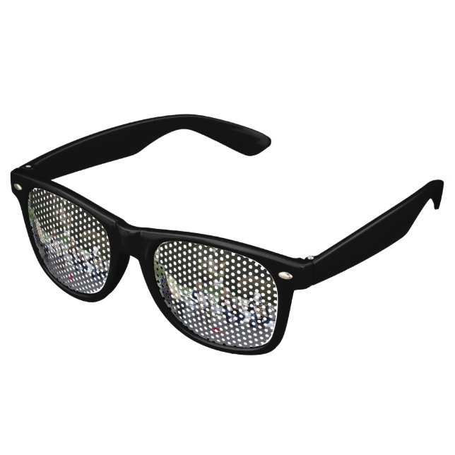 Gafas De Fiesta Retro El concierto de los animales (Ángulo)