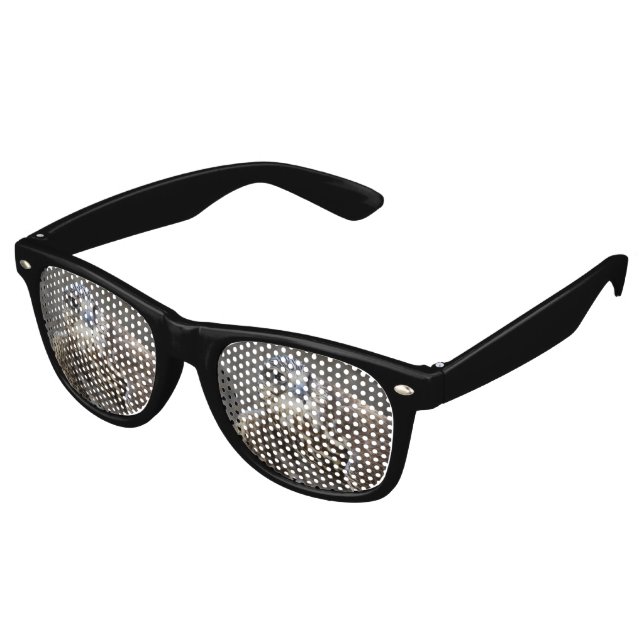 Gafas De Fiesta Retro Falco cherrug (Ángulo)