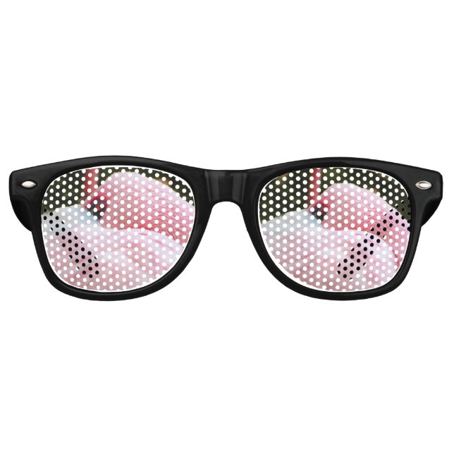 Gafas De Fiesta Retro Flamingo (Anverso)