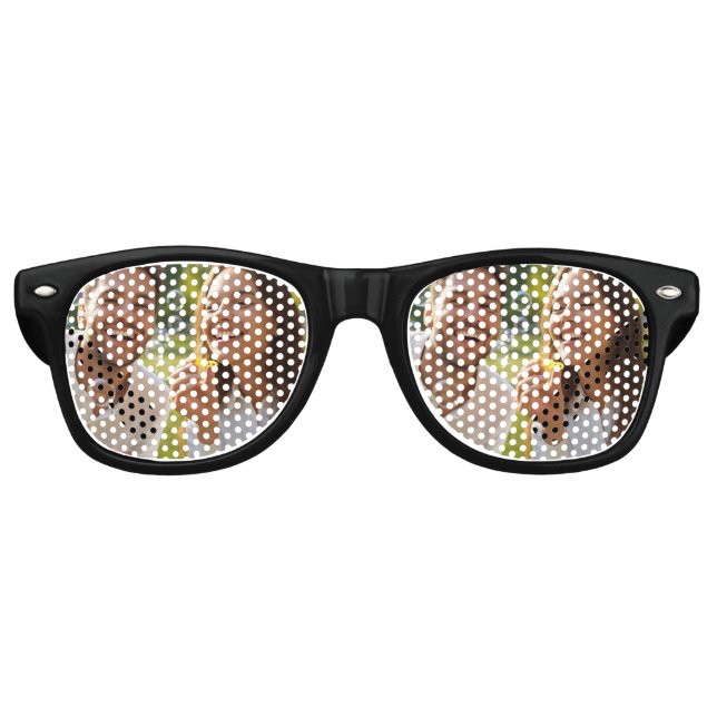 Gafas De Fiesta Retro Fun Pic (Anverso)