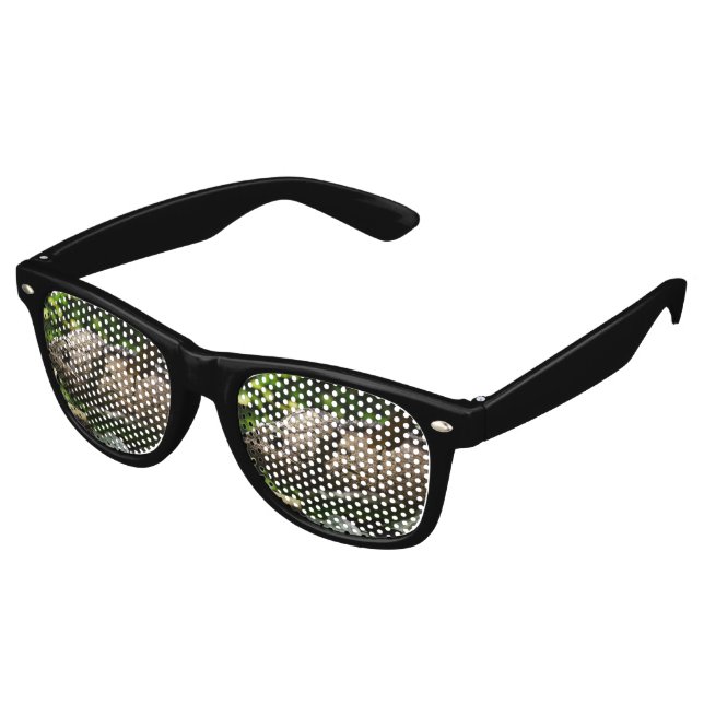 Gafas De Fiesta Retro Furcifer oustaleti (Ángulo)