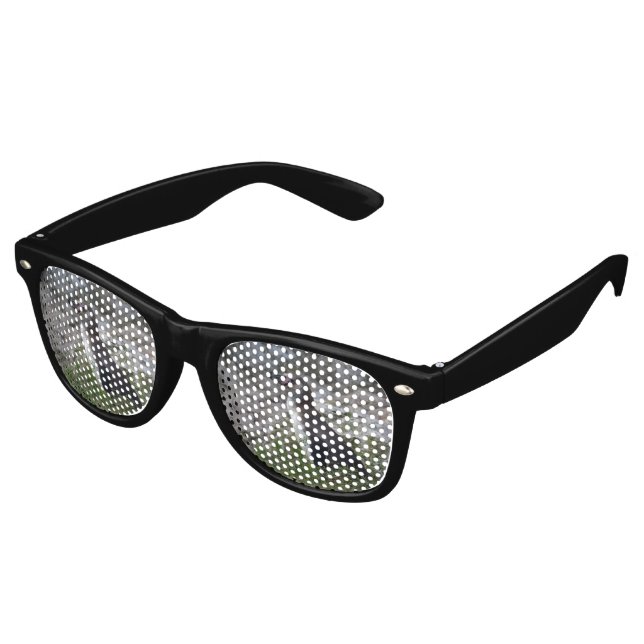 Gafas De Fiesta Retro Sfeniscus humboldti (Ángulo)