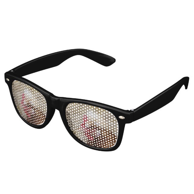 Gafas De Fiesta Retro Sulmtaler Hen (Ángulo)