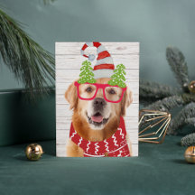 Gafas de Navidad de Golden Retriever Sombrero Bufa