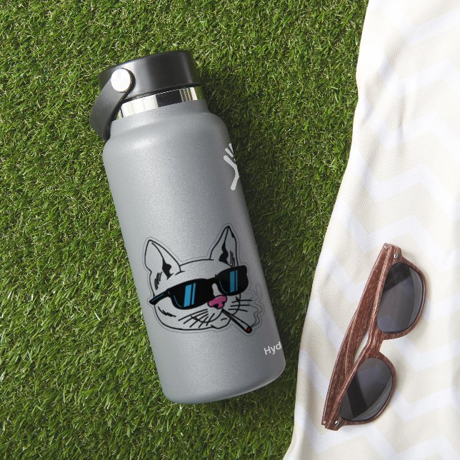 Gafas de sol y Pegatina de gato (HydroFlask Insitu)