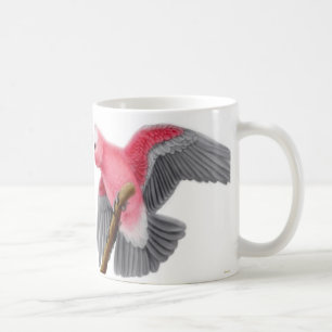 Galah subió la taza del Cockatoo de Breasted