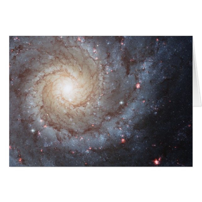 Galaxia espiral M74 (Anverso (Horizontal))