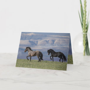 Galaxia - Tarjeta de felicitación para caballos sa