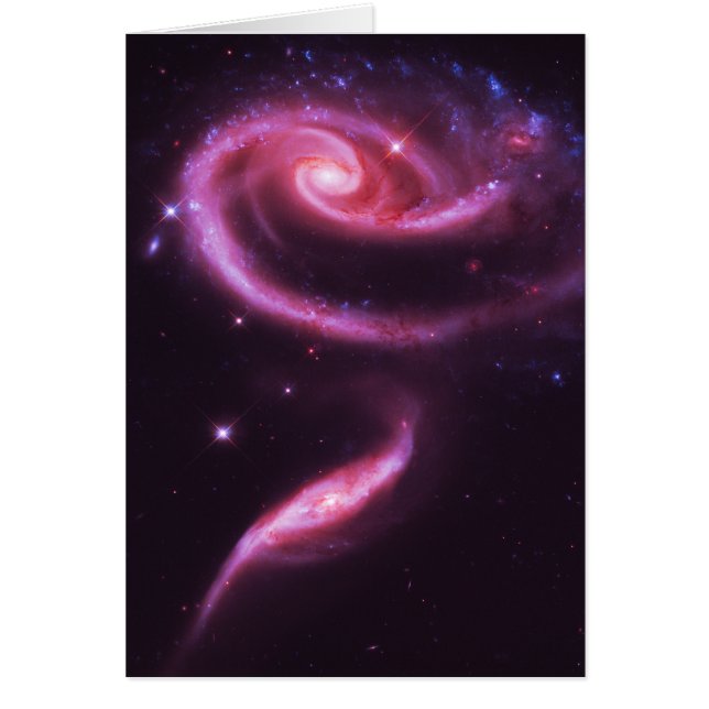 Galaxias Rosa Pink (Frente)