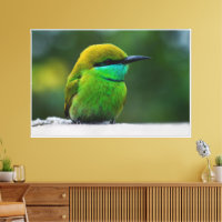 Galería de imágenes adorable pequeño pájaro arte d