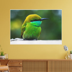 Galería de imágenes adorable pequeño pájaro arte d
