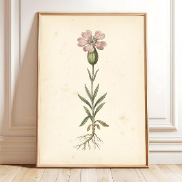 Galería de Impresiones Botánicas Vintage para Pare