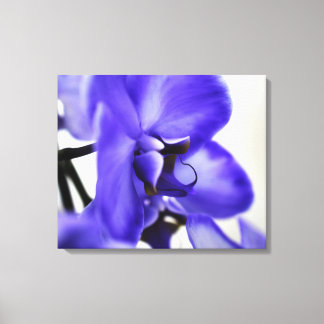 Galería de lienzo moderna: arte elegante