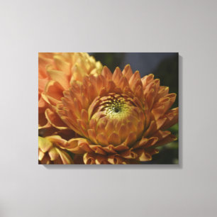 Galería de lienzo moderna: arte elegante para cual